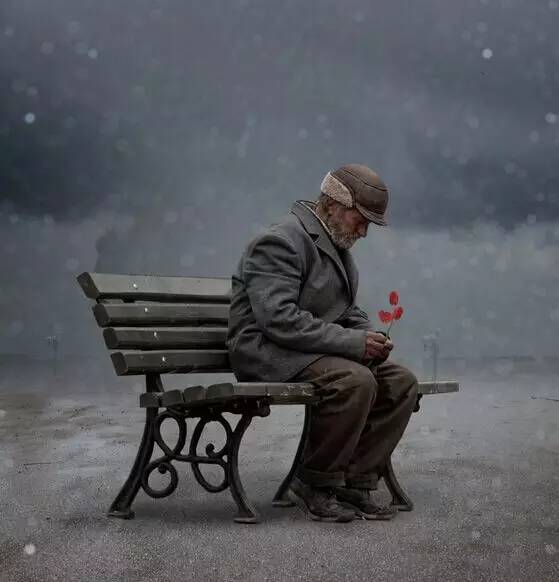 1456798592626193.jpg 3.jpg