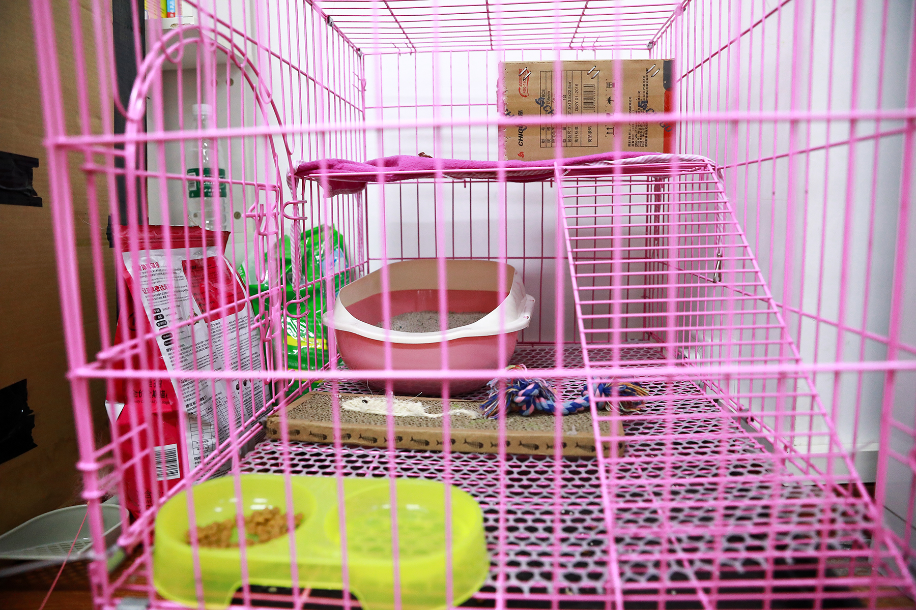 1504332018689684.jpg 养心殿.jpg