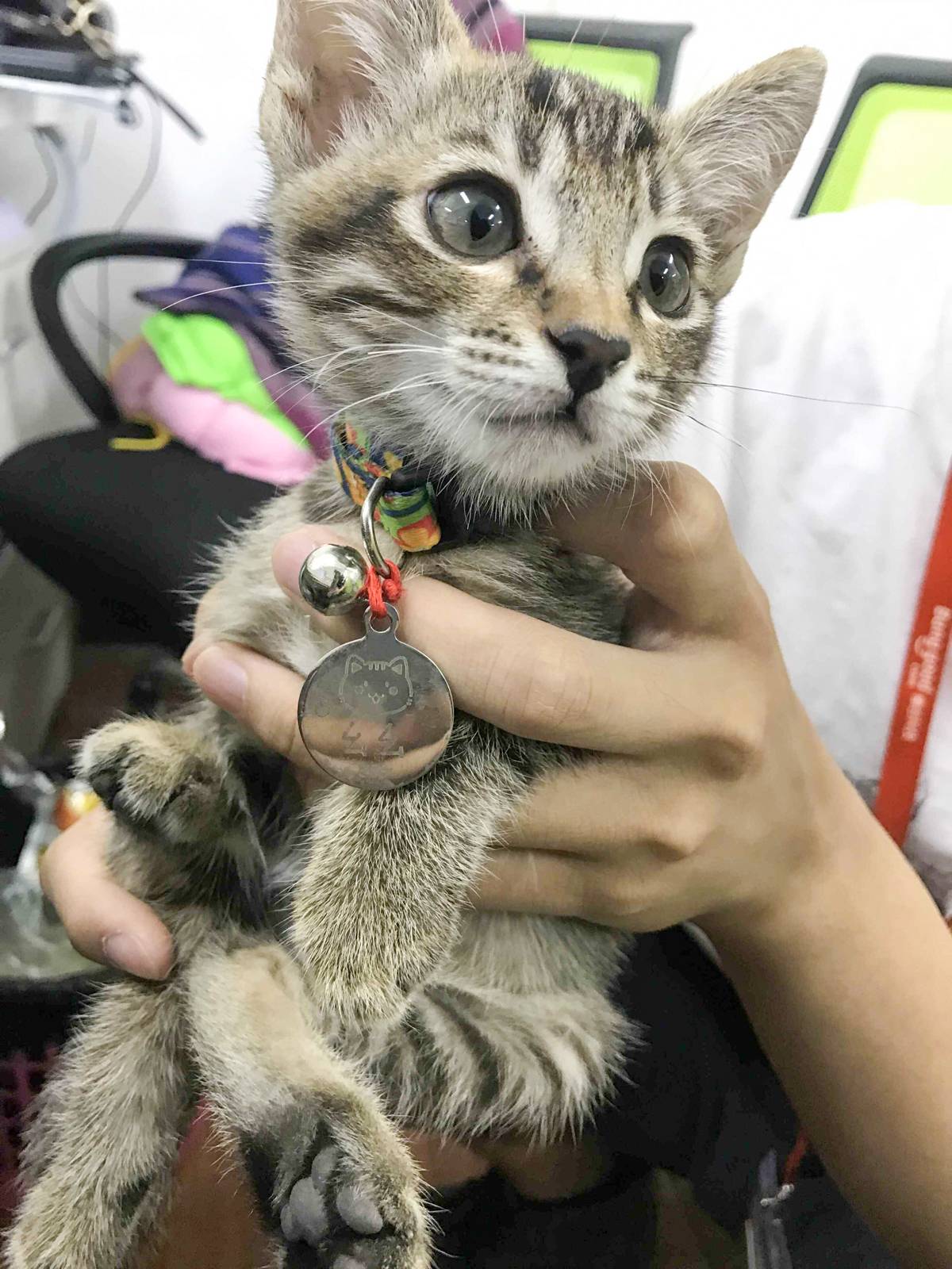 1504332151258221.jpg QQ图片20170822113048.jpg